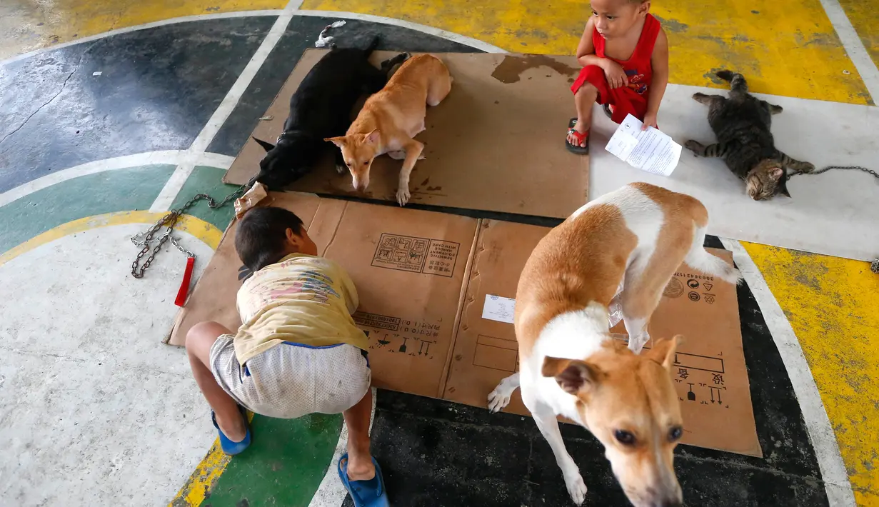 Dua orang anak melihat hewan yang sudah dikebiri di posko hewan Payatas, Manila, Filipina, Selasa (26/9).  Sejak Maret 2017, sekitar 16.000 dari 27.000 anjing dipinggiran kota Manila telah divaksinasi. (AP Photo/Bullit Marquez)