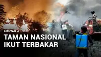 Taman Nasional Ikut Terbakar