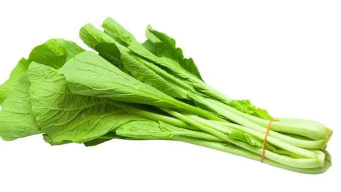 Foto: Copyright Thinkstockphotos.com