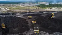 Emiten AADI Lepas 720,38 Juta Saham Tambang Batu Bara di Australia
