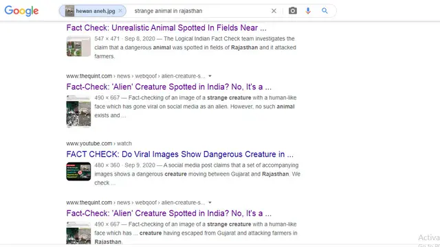 Hasil penelusuran Google Image