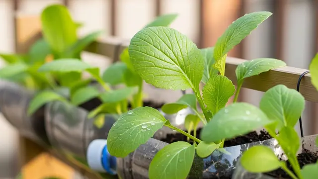 13 Jenis Tanaman Pangan yang Mudah Tumbuh di Botol Bekas