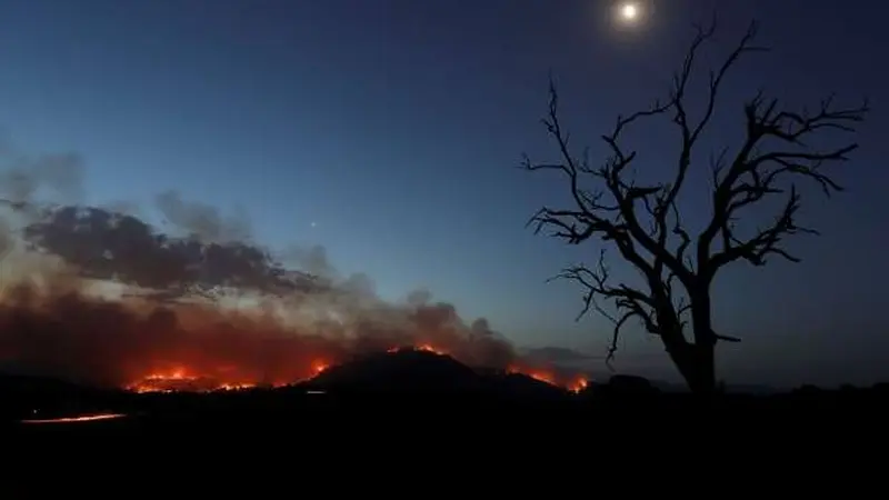 Ilustrasi kebakaran hutan di Australia (AP Photo)