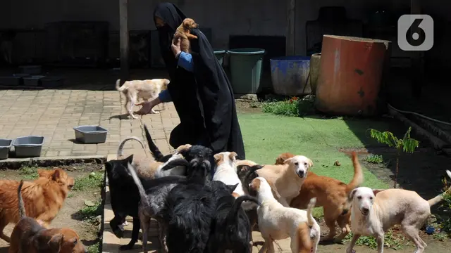FOTO: Kedekatan Hesti Sutrisno dengan Anjing-Anjing Liar Peliharaannya