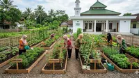 5 Inspirasi Community Garden Ibu-Ibu RT di Area Dekat Mushola atau Balai Warga: Sulap Lahan Kosong