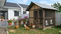 8 Desain Kandang Ayam Ala Urban Farming: Efisien, Modern, dan Minim Bau untuk Perkotaan
