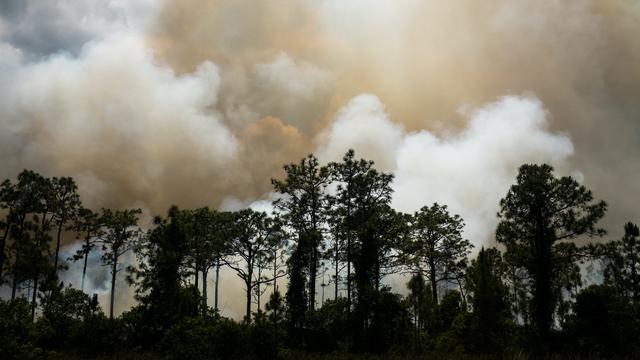 Ilustrasi pencemaran udara