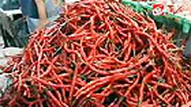 Harga Cabai di Padang Rp 55 Ribu Per Kg