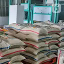 Bulog Siap Salurkan Bantuan Pangan Beras Juli-September 2026