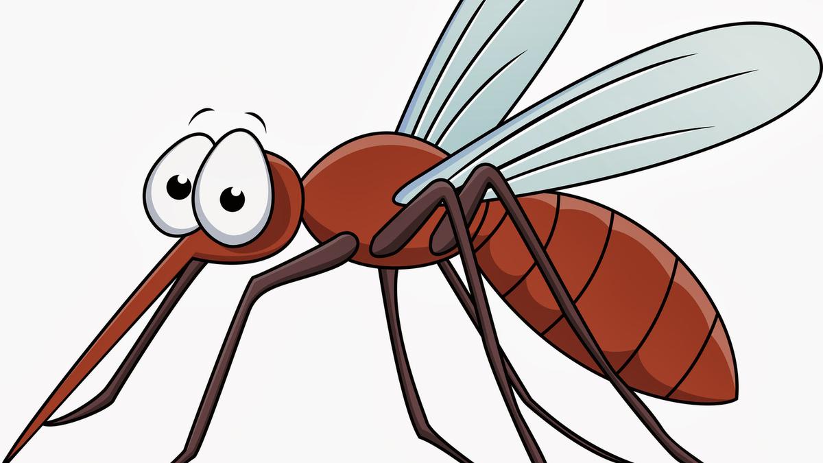 Ditemukan Nyamuk Spesies Baru di Papua - Health Liputan6.com