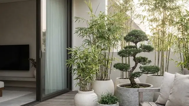 Model Teras Minimalis Modern dengan Tanaman Pot Monokrom