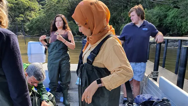 Sydney Oyster Farm Tour