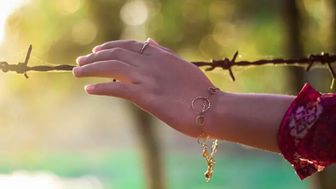 Foto: copyright pexels.com