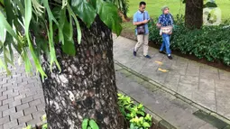 Warga beraktivitas di Taman Suropati, Menteng, Jakarta, Rabu (18/3/2020). Meskipun ditutup untuk umum terkait upaya mencegah penyebaran virus covid 19, namun sebagian masyarakat tetap beraktivitas di sekitar taman tersebut untuk berolahraga atau sekadar berekreasi. (Liputan6.com/Immanuel Antonius)