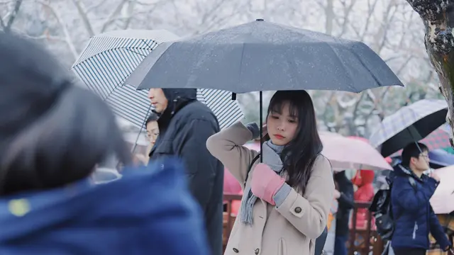 Ilustrasi kecantikan