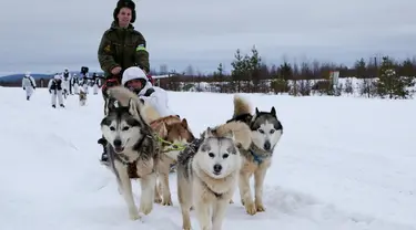 Tentara Brigade Arktik Armada Utara Rusia melatih anjing di Rusia, Selasa (26/11/2019). Brigade Arktik Armada Utara Rusia merekrut anjing siberia husky untuk memperkuat Angkatan Bersenjata Rusia. (Andrei Luzik, Russian Defense Ministry Press Service via AP)