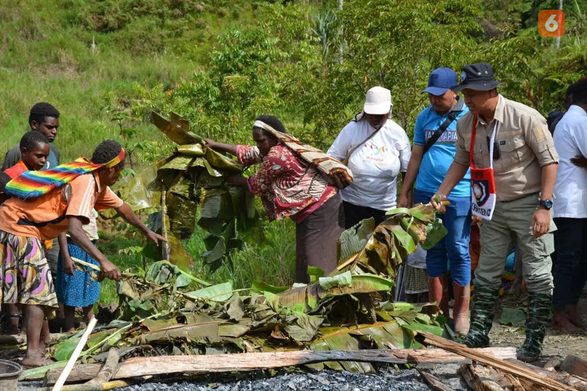 Panen sayuran, warga Dogiyai Rayakan dengan Bakar Batu (Liputan6.com/Fauzan)