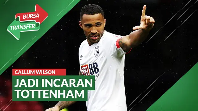 Berita Video Bursa Transfer: Tottenham Hotspur Incar Pemain Bournemouth, Callum Wilson