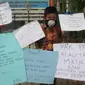 Siswa SD di Riau demo kabut asap (M.Syukur/Liputan6.com)