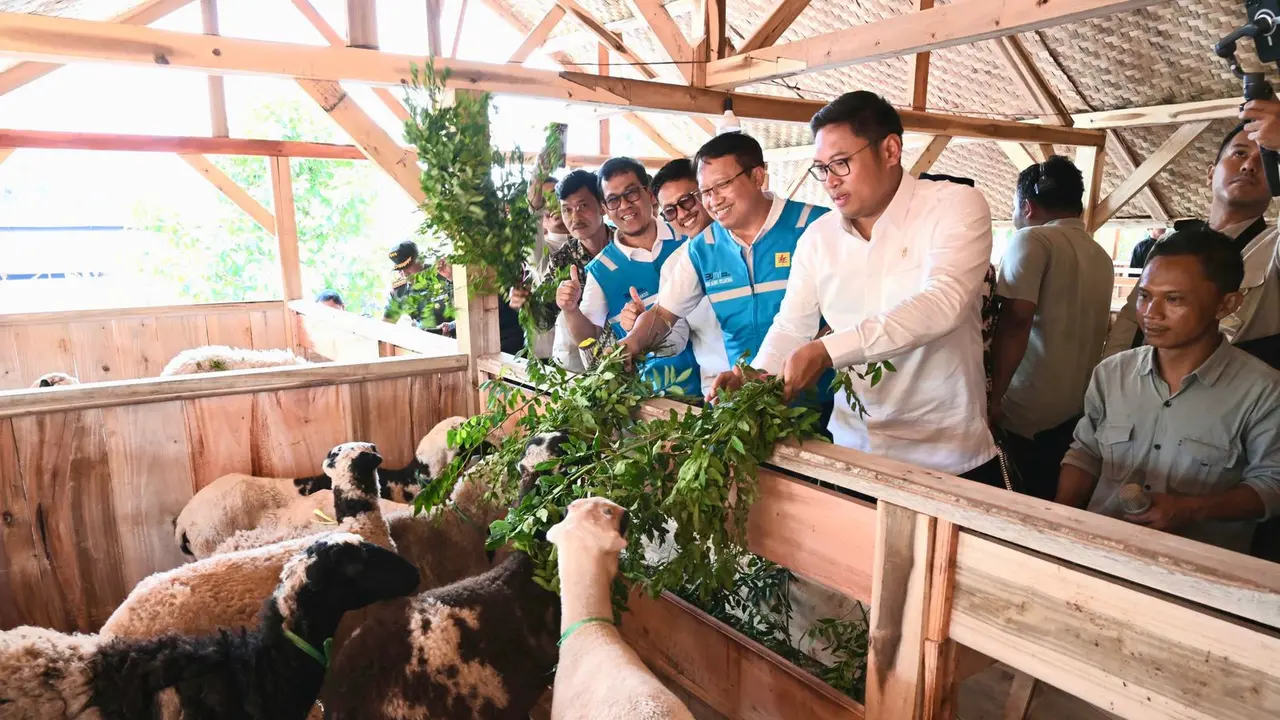 PLN Energi Primer Indonesia (PLN EPI), bersama Kementerian Pertanian (Kementan) meresmikan program Pengembangan Ekosistem Biomassa Berbasis Ekonomi Kerakyatan dan Pertanian Terpadu. (Foto: PLN)