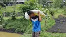 Peternak membawa bibit arwana yang akan dibesarkan pada kolam besar di Farm Royal Red Arowana yang terletak di kawasan Jasinga, Bogor, Jawa Barat, Sabtu (15/11/2025). Di balik sisik berkilau dan gerakannya yang elegan, ikan arwana telah lama menjadi bintang di dunia ikan hias. Tidak hanya digemari karena keindahannya, arwana juga dikenal sebagai salah satu ikan hias dengan nilai jual paling tinggi, bahkan beberapa jenis langkanya pernah menembus harga ratusan juta rupiah per ekor. (merdeka.com/Arie Basuki)