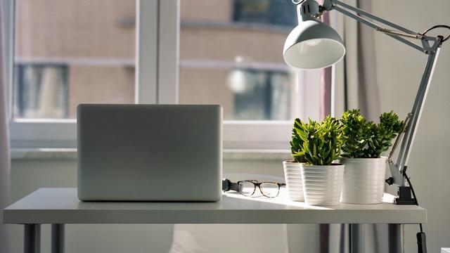 Ilustrasi tanaman hias