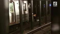 Cuaca ekstrem di New York membuat sejumlah bandara tutup dan akese kereta api tak dapat digunakan karena rel membeku