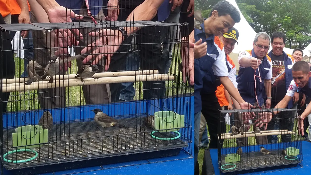 Lomba Kicau Burung - Makassar 0415