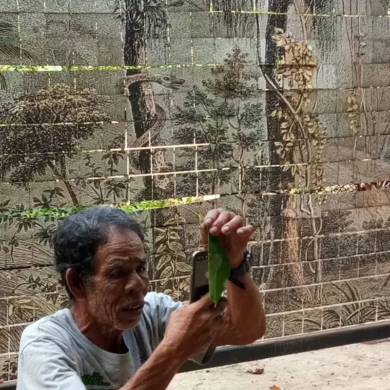 Kakek tukang sapu