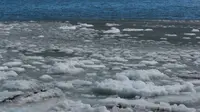 Sebuah bongkahan es raksasa melewati perairan Ferryland Newfoundland, Kanada, (10/4). Perairan yang disebut Iceberg Alley ini menjadi tempat perlintasan pecahan gletser di Greenland pada setiap awal musim panas. (Paul Daly/The Canadian Press via AP)