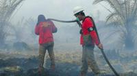 Upaya keras pemadam kebakaran lahan di Riau menjinakkan api di perkebunan sawit yang terbakar beberapa waktu lalu. (Liputan6.com/M Syukur)