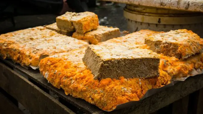 Oncom yang segar/copyright Shutterstock.com