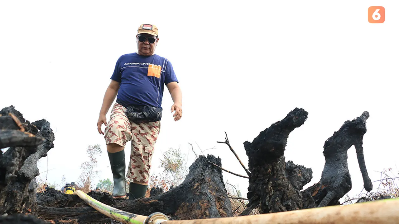 Gubernur Kalimantan Selatan, Sahbirin Noor atau Paman Birin Karhutla