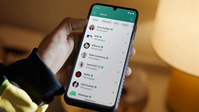 WhatsApp Channel
