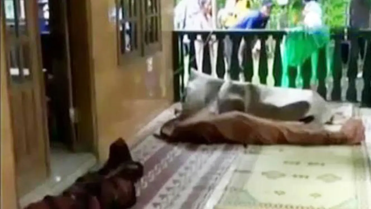 Bencana Longsor Jawa Tengah, Purworejo Paling Banyak Telan Korban