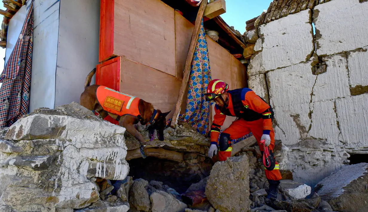 Seorang petugas penyelamat bersama dengan anjing pelacak mencari korban selamat di sebuah rumah setelah gempa bumi di kota Cuoguo, Shigatse, wilayah Tibet, Tiongkok barat daya pada tanggal 8 Januari 2025. (CNS/AFP/China OUT)