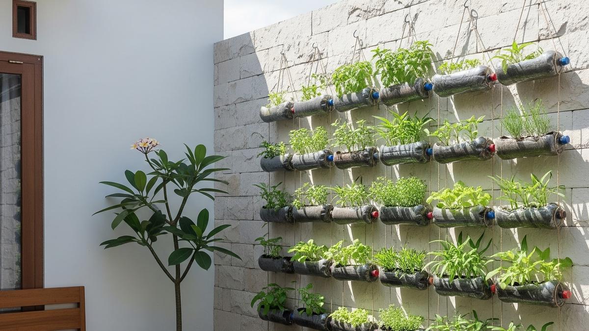 Cara Membuat Kebun Sayur Gantung dari Botol Bekas, Praktis dan Ramah Lingkungan