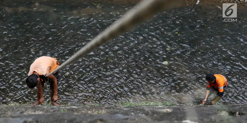 Jaga Kebersihan Sungai, Petugas Bersihkan Rumput di Turab Kali Baru