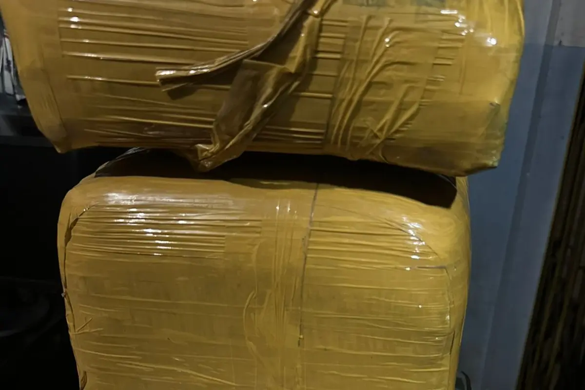Barang bukti ganja seberat 8 kilogram yang diamankan dari dalam bus ALS asal Kota Medan oleh Ditresnarkoba Polda Lampung di Pelabuhan Bakauheni.  Foto : (Istimewa).