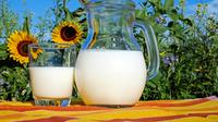 Ilustrasi susu (dok. Pixabay.com/Couleur)