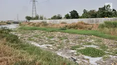 Kondisi Kali Pisang Batu yang dipenuhi sampah dan busa di Desa Setia Asih, Tarumajaya, Kabupaten Bekasi, Jawa Barat, Senin (29/7/2019). Kali Pisang Batu kembali dipenuhi limbah pabrik dan sampah rumah tangga setelah sempat dikeruk pada Januari lalu. (merdeka.com/Iqbal Nugroho)