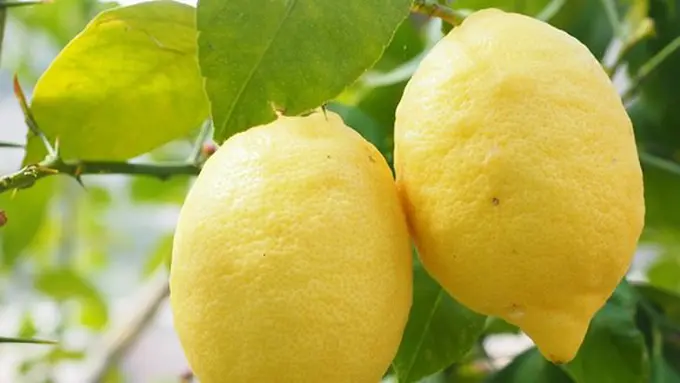 Tips Cantik / Copyright : pixabay.com