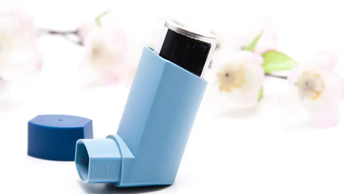 (c) shutterstock.com