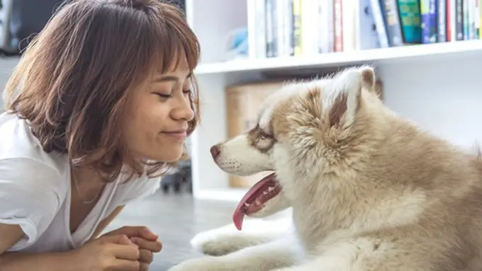 copyright by Pexels.com