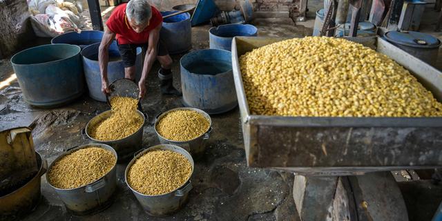 Impor Kedelai RI Melonjak, Negara Ini Jadi Pemasok Utama