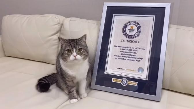 Motimaru, kucing ras Scottish Fold di Jepang yang mendapat Rekor Dunia Guinness karena begitu populer di YouTube. (Tangkapan Layar YouTube motimaru's diary)