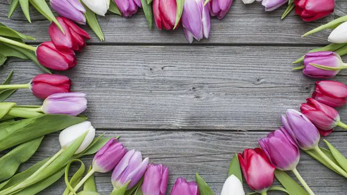 Foto: copyright thinkstockphotos.com