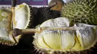 Menikmati legitnya durian unggulan Banyumas. (Liputan6.com/Muhamad Ridlo)