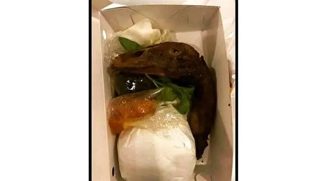 6 Menu Makan Absurd Pakai Mainan Dinosaurus Ini Nyeleneh Pol, Ada-Ada Saja