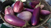 Salah satu jenis terung, terung ungu yang kulitnya bermanfaat turunkan risiko diabetes. (Foto: kristinekidd.com)